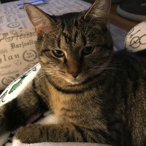 Meet your Posher, Diane